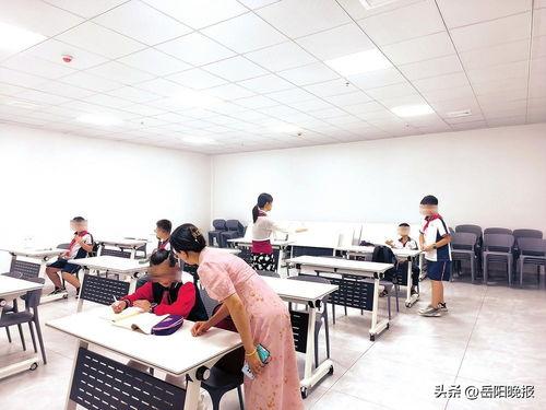 今日头条托管辅导老师,助力学子高效学习的秘密武器”